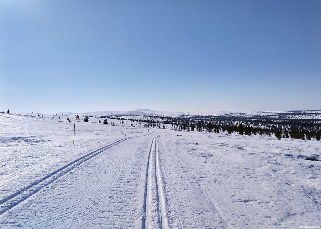Vahtamapäällä